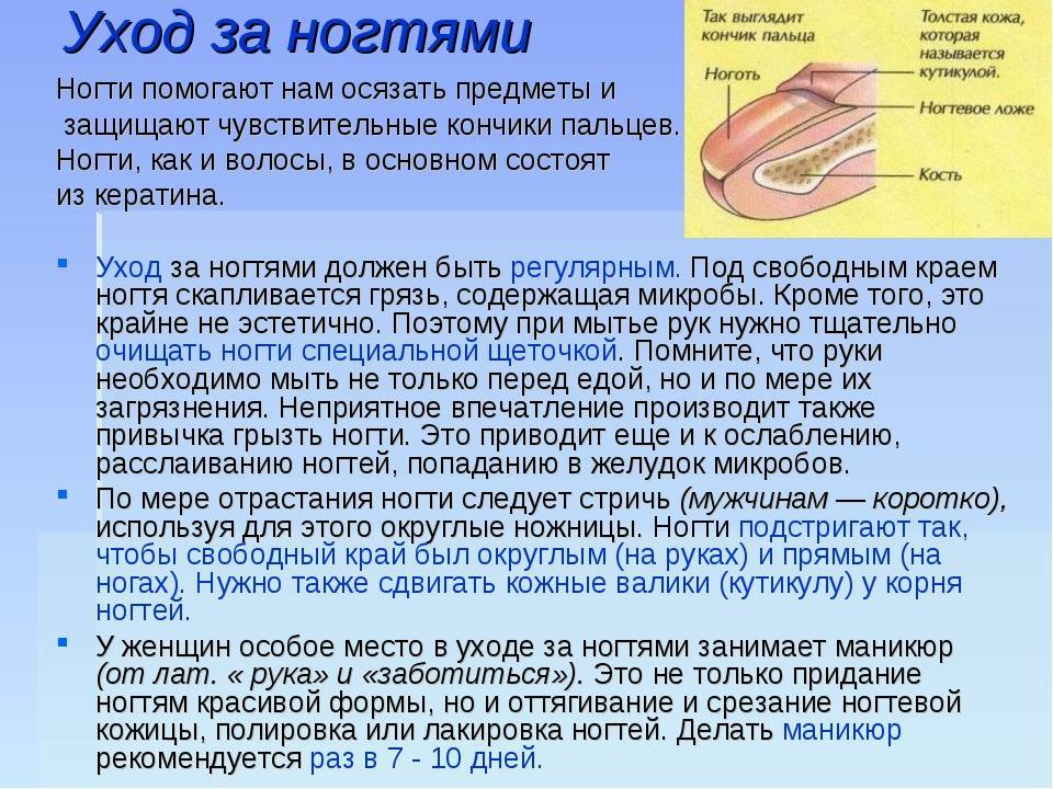 Как можно заразиться грибком ногтей и как предотвратить заражение