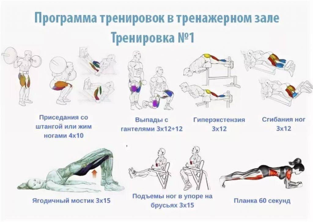 Где Можно Купить Программу Тренировок