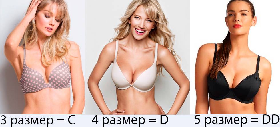 Размер груди - размеры женской груди, таблица размеров женской груди