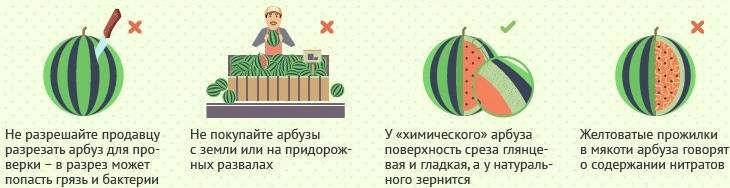 Арбузная диета - похудение на арбузе, меню на 3, 5, 7 и 14 дней. плюсы и минусы диеты.