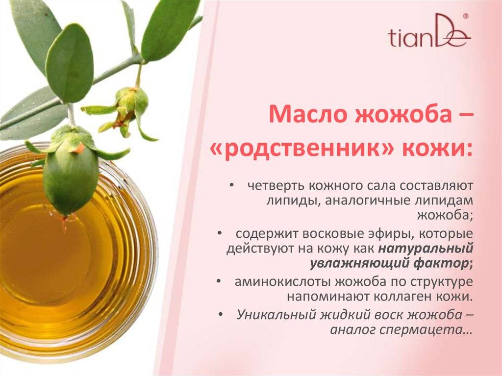 Масло жожоба: свойства и применение для лица, волос, кожи