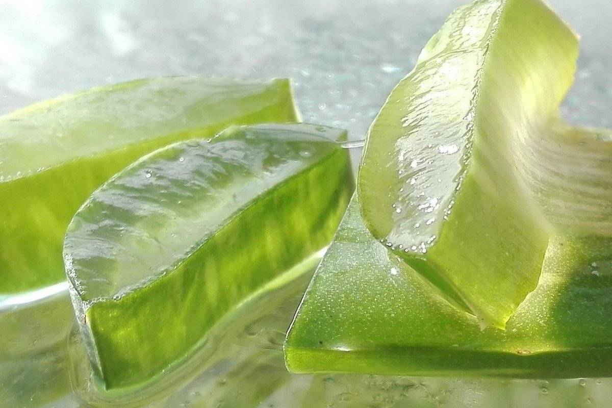Кубики льда для лица от морщин и прыщей с травами, маслами, соком и молоком