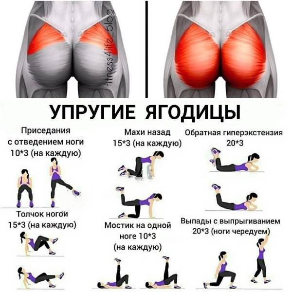 За какое время можно накачать попу девушке дома и в тренажерном зале?