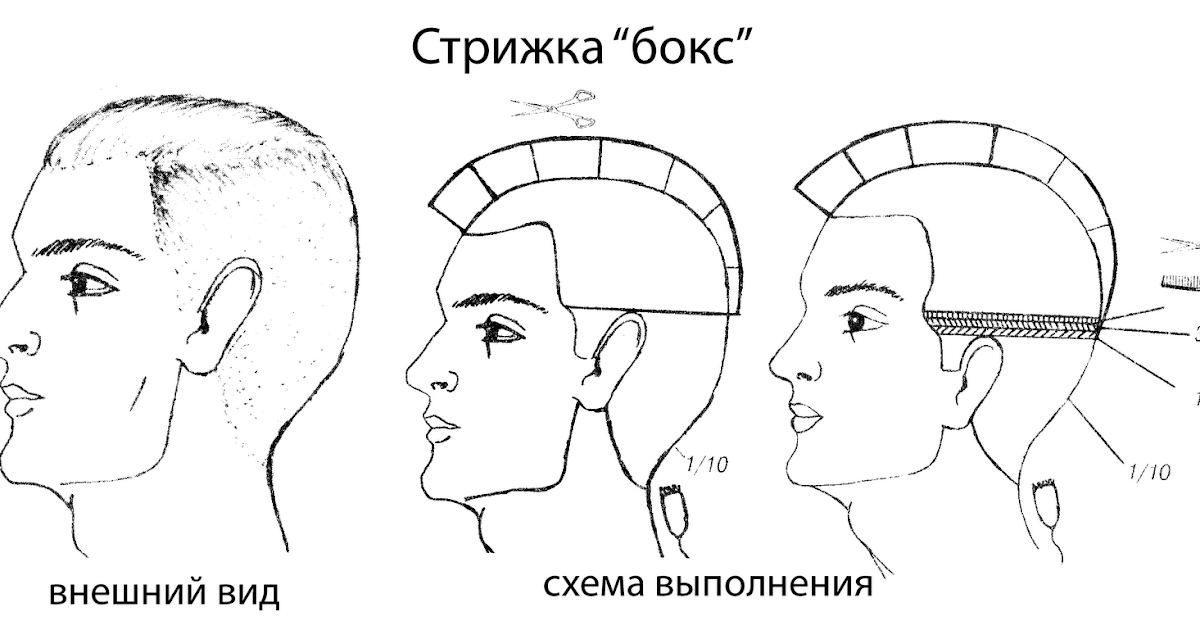 Стрижка бокс- выбор смелых девушек