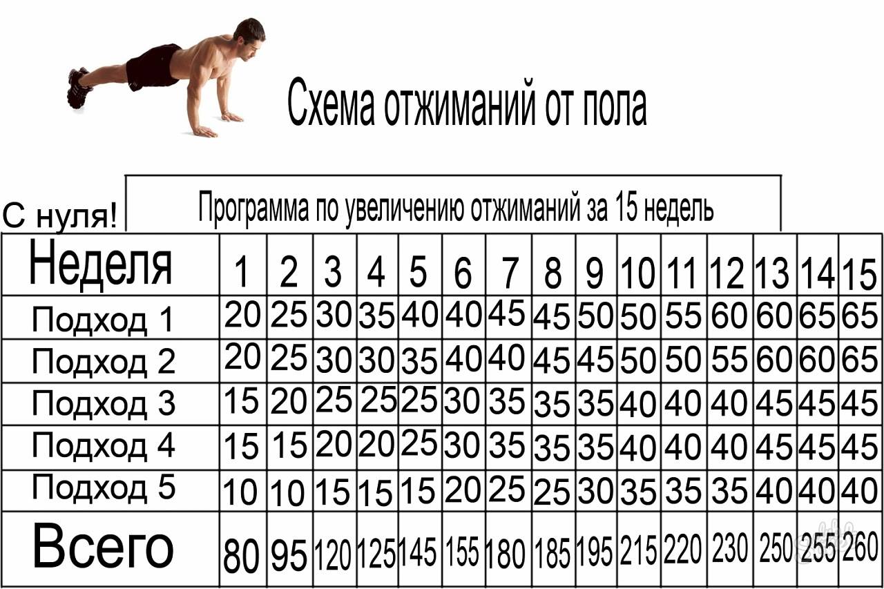 Как накачать девушке бицепс в домашних условиях? - tony.ru