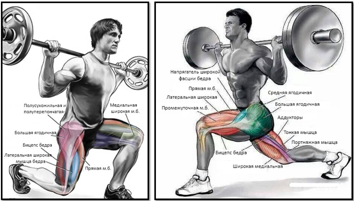 Приседания со штангой для девушек: техника, выполнение, польза, видео