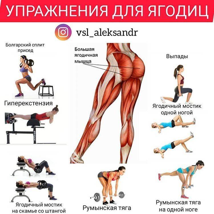 Как накачать попу за 1 неделю: упражнения для дома на 7 дней