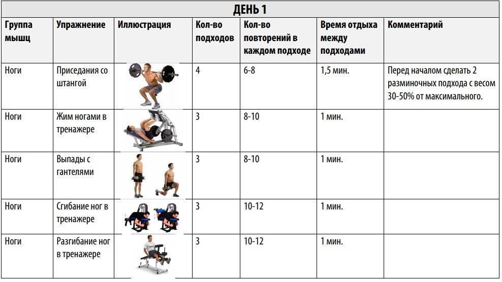 Типы телосложения женщин — как определить свой? питание и тренировки