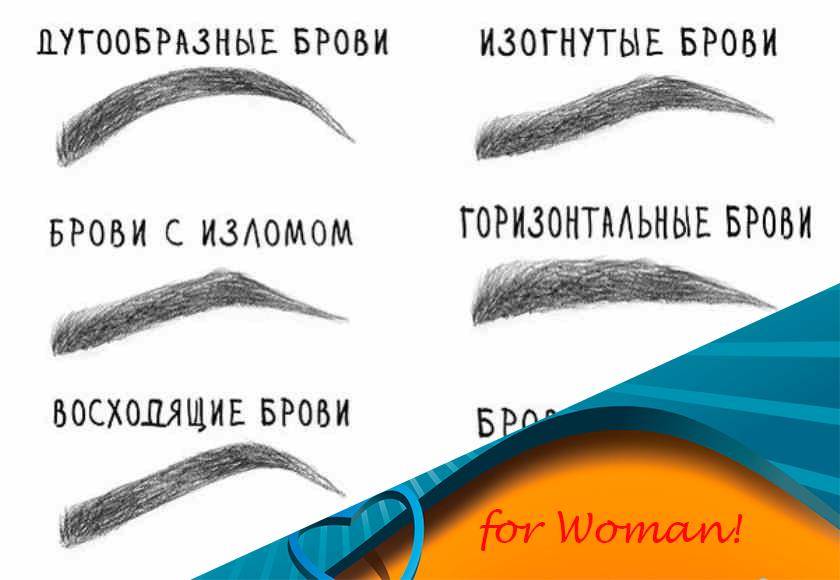 Идеальные брови для овального лица