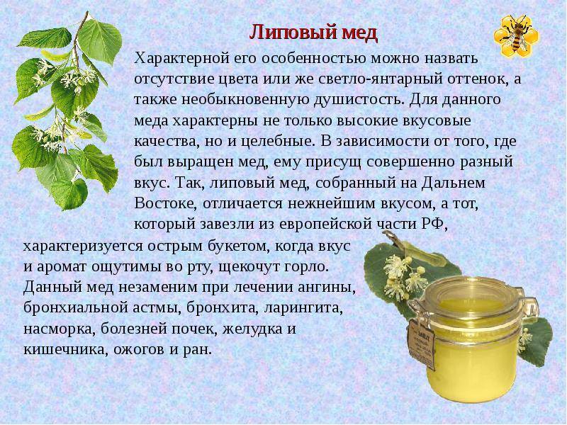 Рапсовый мед: характеристики, способы применения и полезные рекомендации