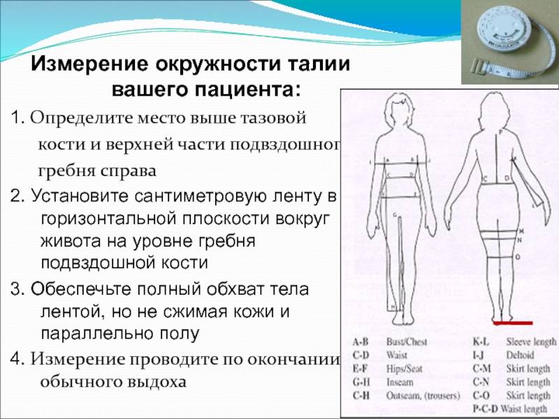 Соотношение талии и бедер