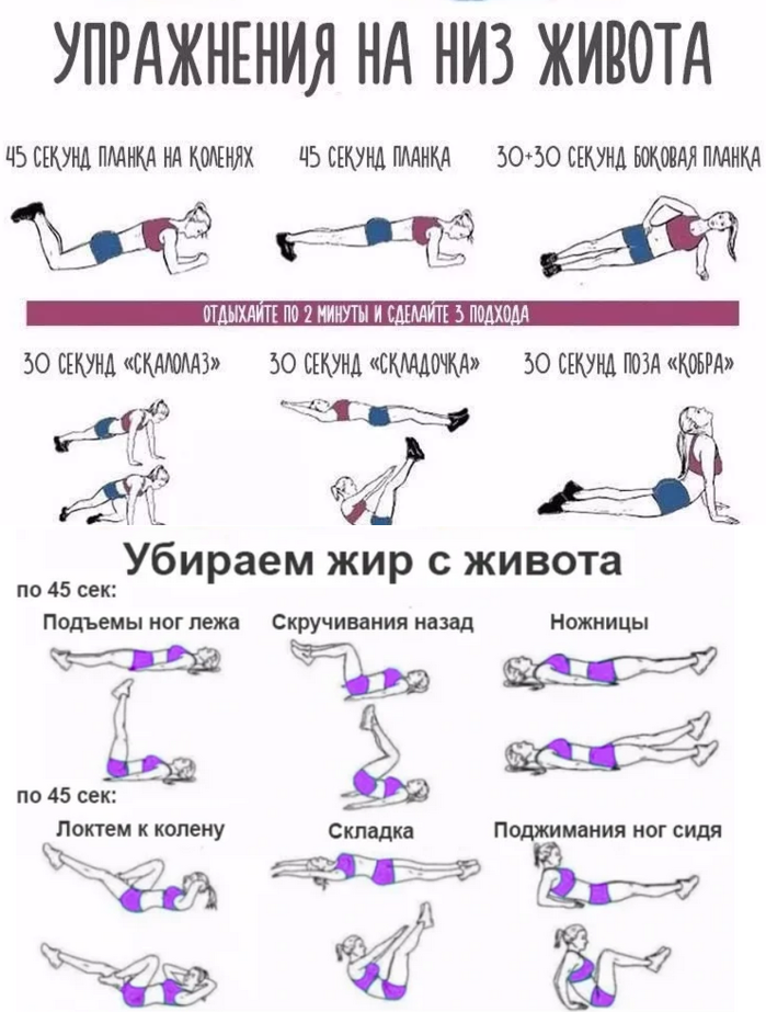 Упражнения с гантелями для похудения для женщин, комплекс нагрузки на все группы мышц, видео