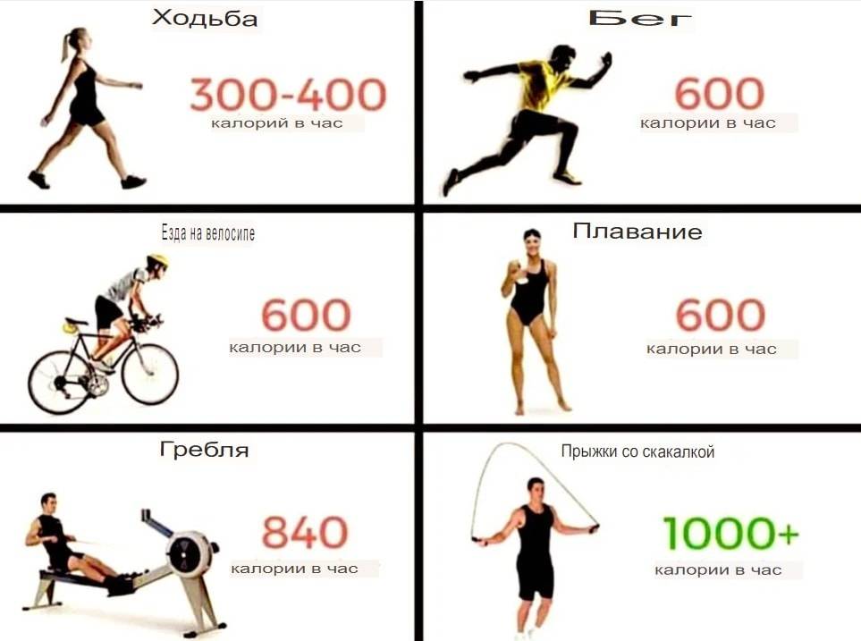 Сайкл-тренировка для похудения - что это такое и что она дает? | balproton.ru