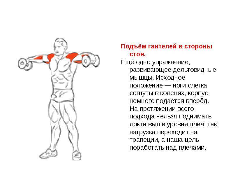 Хочешь широкие плечи? узнай, как правильно делать разведение гантелей стоя!
