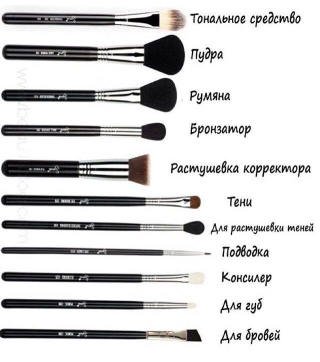 Для чего и какие кисти предназначены в макияже