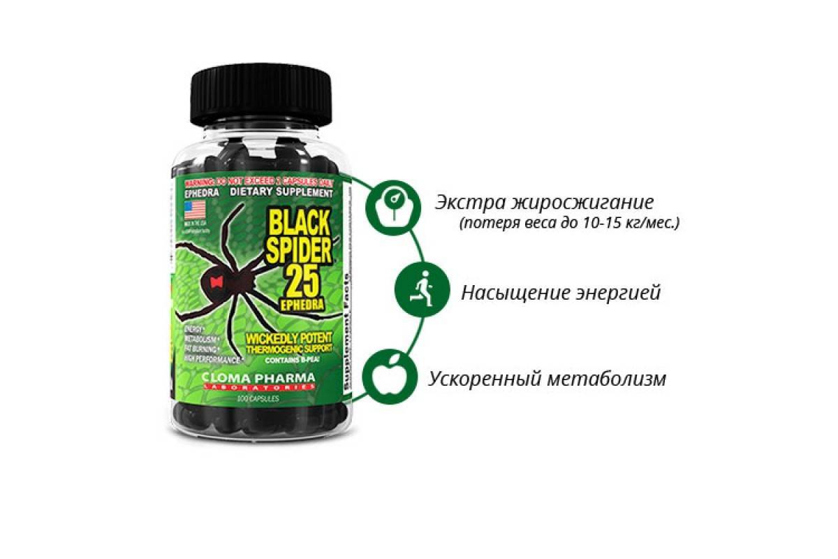 Все что нужно знать о жиросжигателе black spider 25 c эфедрой