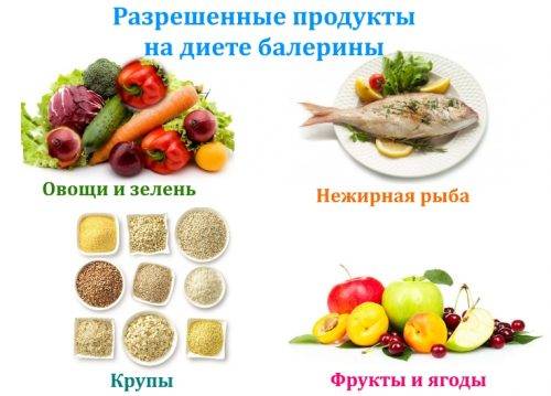 Диета майи плисецкой "не жрать", принципы составления меню