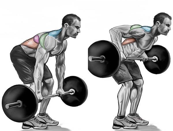 Тяга штанги в наклоне: какие мышцы работают и техника выполнения — wayout fitness - бодибилдинг и фитнес для начинающих