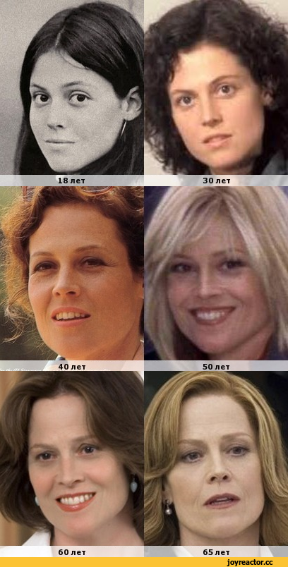 Sigourney weaver — биография знаменитости, личная жизнь, дети > человек и здоровье