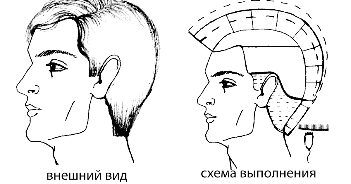 Описание мужской стрижки канадка