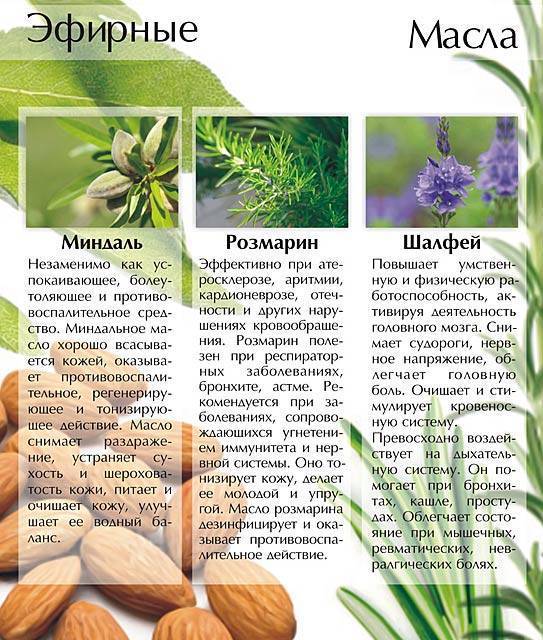 Масло чайного дерева. преимущества, польза и вред