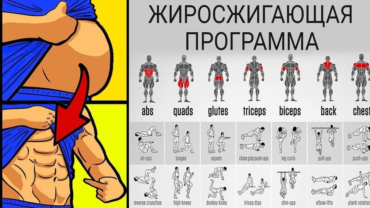 Программы круговых тренировок в тренажерном зале для девушек
