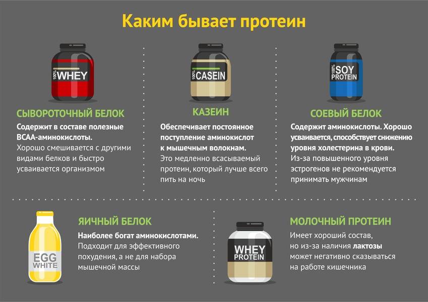 Сывороточный протеин: состав и как правильно принимать? | irksportmol.ru