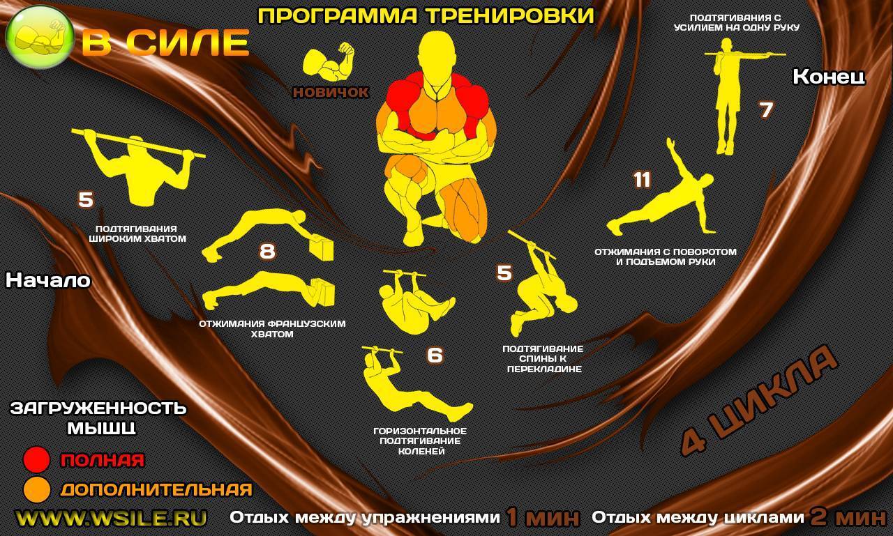 Упражнения без гантелей в домашних условиях. топ лучших.