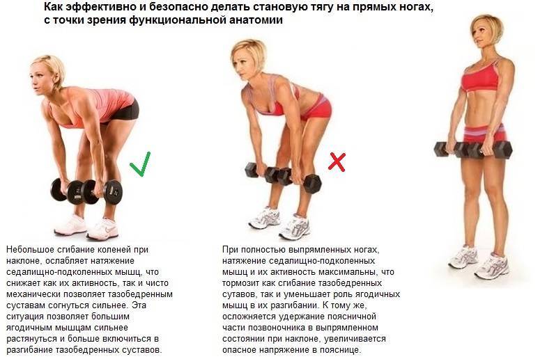 Становая тяга для женщин: техника выполнения, разновидности