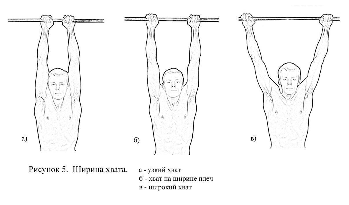 Упражнения для подтягивания на турнике: лучшие подводящие техники
