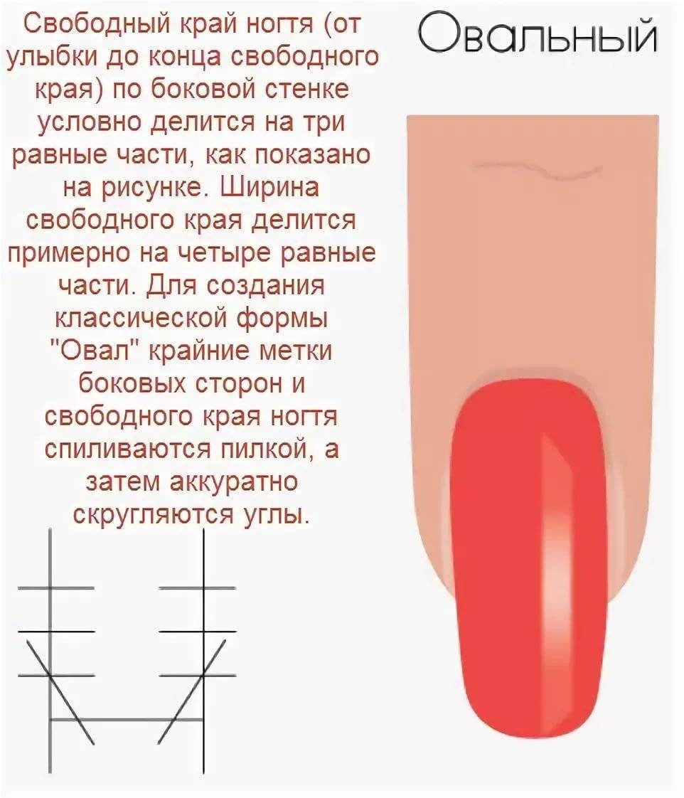 Овальный маникюр: 1210 модных фото новинок (2023)