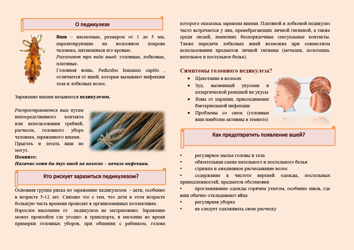 ✋ 33 лучших народных средствх от вшей и гнид в домашних условиях, эффективное лечение педикулёза