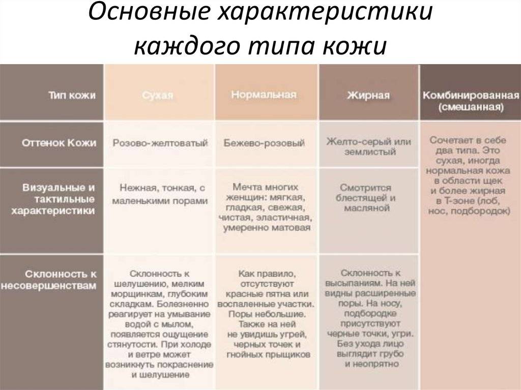 Типы кожи в косметологии. Классификация, критерии определения, фото