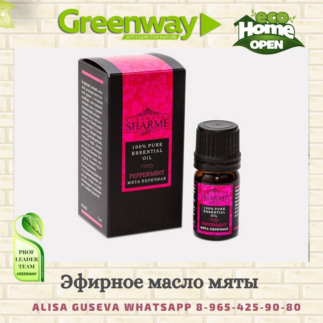 Эфирное масло мяты перечной, свойства и прменение