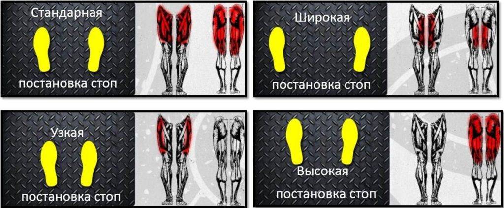 Какие мышцы работают при выполнении приседаний?