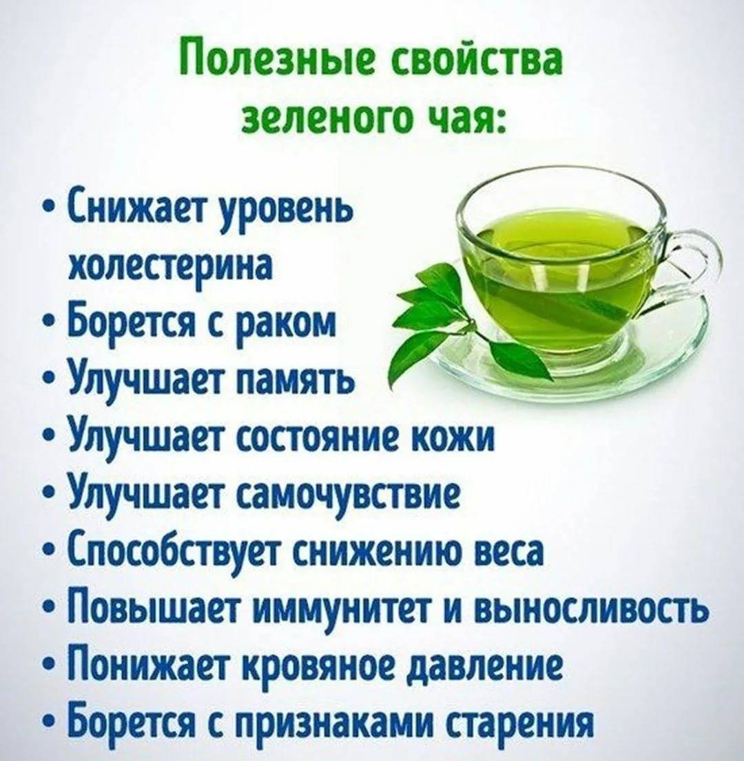 Зеленый чай для похудения: помогает ли, как правильно пить, лучшие рецепты, какой лучше