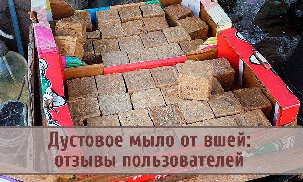 Дустовое мыло от вшей: инструкция по применению, противопоказания