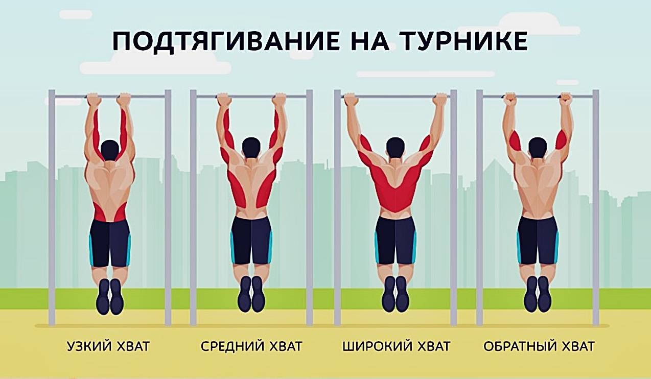 Упражнения чтобы научиться подтягиваться на турнике