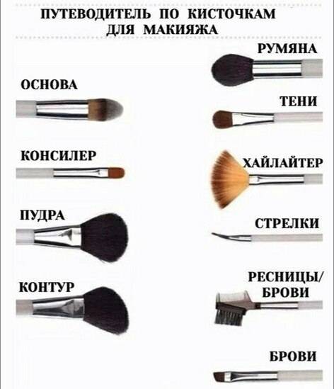 Март 2023 (+120 фото) кисти для макияжа: какая для чего нужна