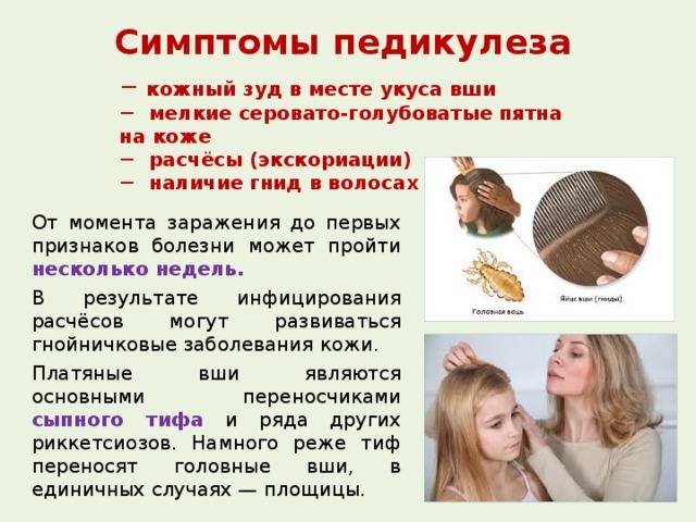 Вши при беременности: что делать, чем лечить, безопасные средства