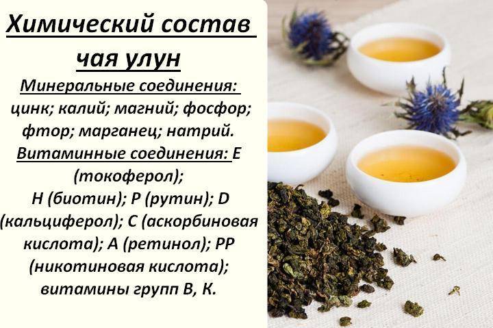 8 лучших видов чая из аптеки для похудения (+какие травы помогут сбросить лишний вес)