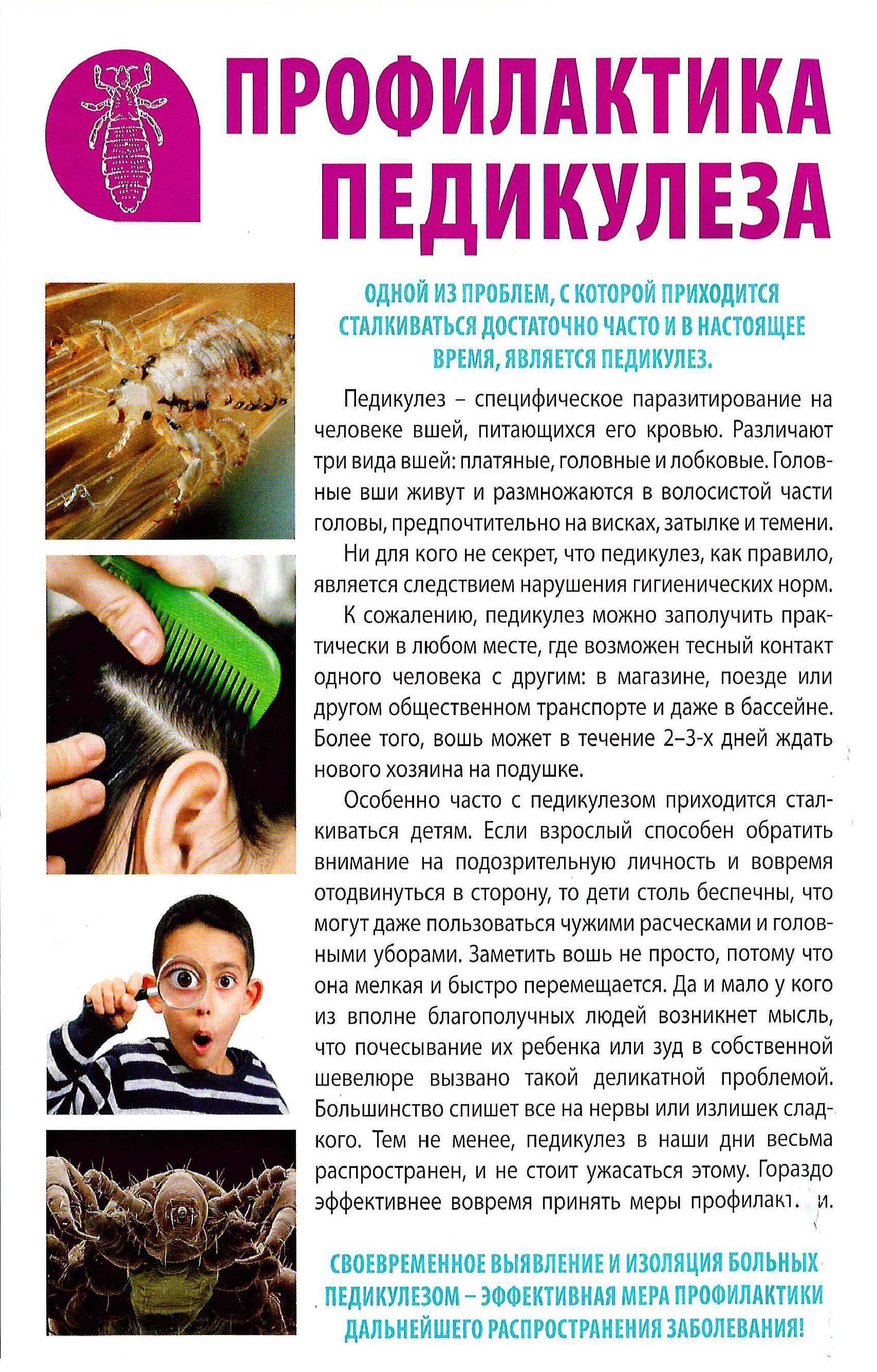 Вши у детей: как выглядят паразиты, чем лечить педикулез у ребенка?