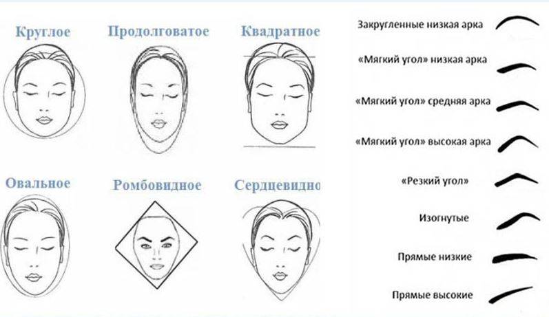 Форму бровей по типу лица, определяем подходящую форму