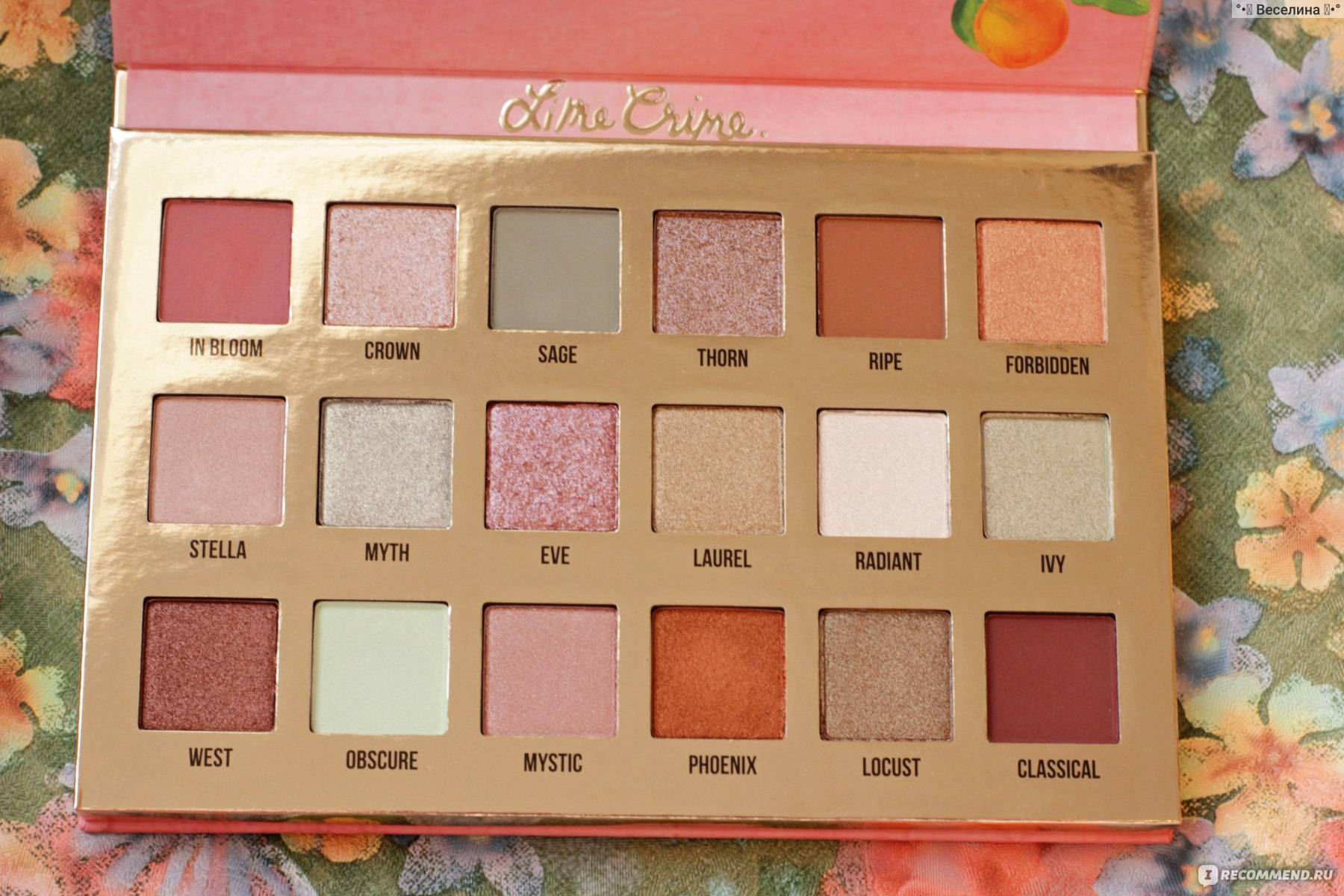 Dupe natasha denona's mini bronze palette - vanilla beauty