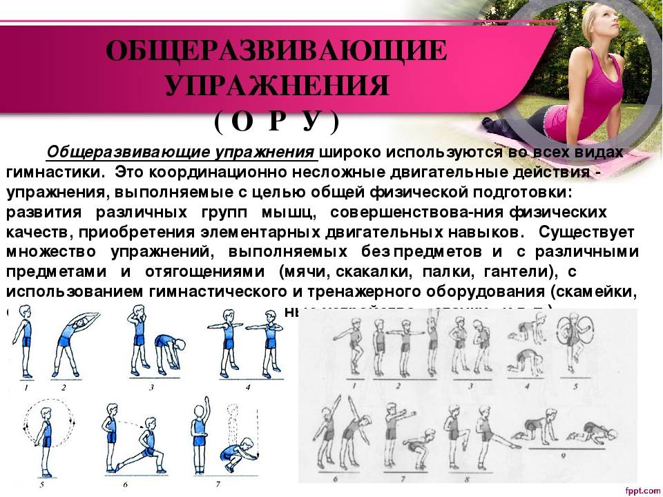 Гимнастика. основные виды (классификация), особенности выполнения, техника, цели