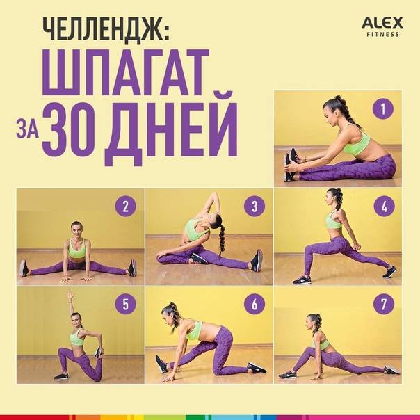 Стретчинг для начинающий: уроки растяжки в домашних условиях (видео)