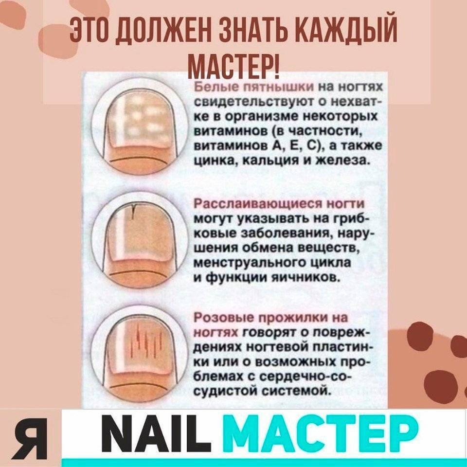 Пошаговая инструкция по наращиванию ногтей на формы