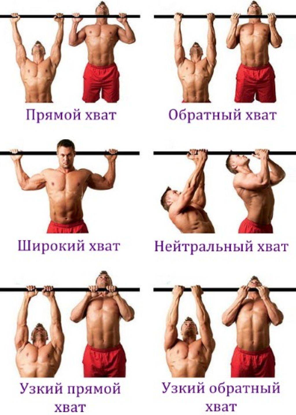 Программа подтягиваний для начинающих: курс, с 0, с 1 раза, девушек