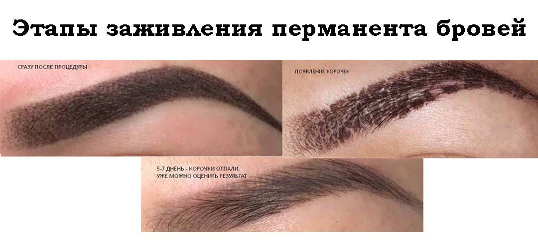 Перманентный макияж бровей: что нужно знать (в 2021)