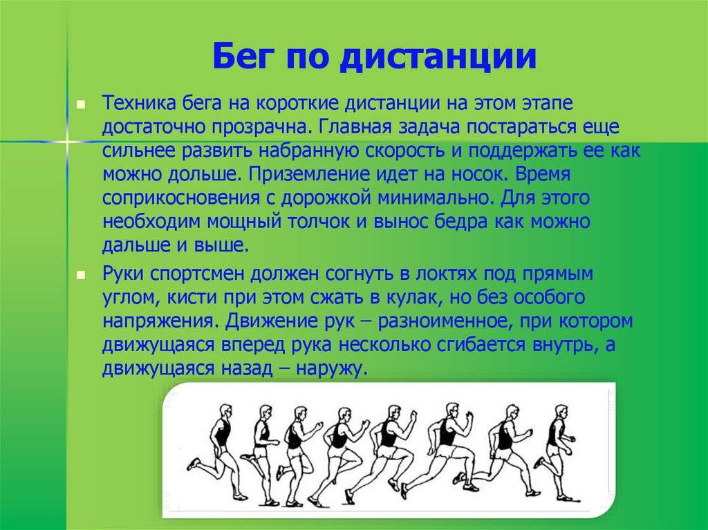 Техника бега на средние дистанции: от 800, 1000 и 1500 м до 2–3 км